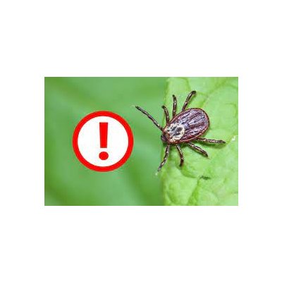 Tick-borne encephalitis vaccine