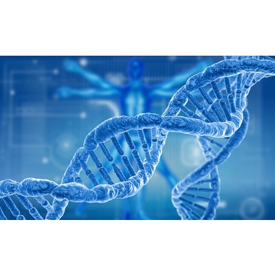 Gene Therapy Promising for Reversal of Hereditary Vision Loss